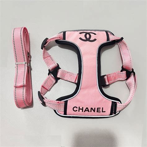 coco chanel dog accessories.